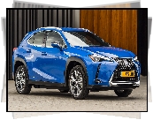 Lexus UX Electric, Niebieski