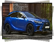 Lexus RX Hybryda F Sport, Bok