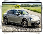 Porsche Panamera E-Hybrid Sport Turismo Platinum Edition