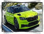 Skoda Fabia RS Rally2, Droga