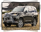 Czarny, Lexus LX 600