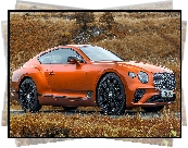 Bentley Continental GT Mulliner