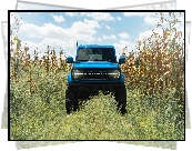Ford Bronco, Pole, Kukurydza