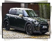 Mini Cooper Resolute