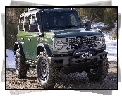 Ford Bronco Everglades