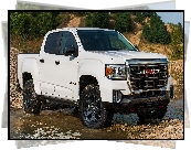 GMC Canyon AT4 Crew Cab