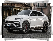 Lamborghini Urus Carbon