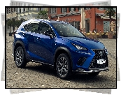 Lexus NX F Sport, 2018