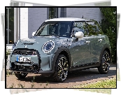 Mini Cooper S Multitone