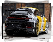 Porsche 911 GT3 956 Le Mans Livery