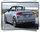 Audi TTS Roadster, Cabrio