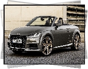 Audi TT Roadster Bronze