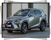 Lexus NX, Hybryda, 2017