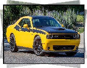 Dodge Challenger TA 392