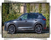 Mazda CX-5, Bok