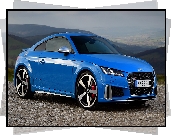 Niebieskie, Audi TTS Coupe