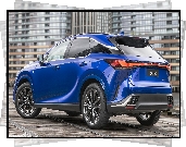 Niebieski, Lexus RX F Sport, Tył, Bok