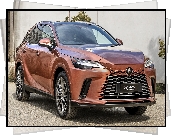 Lexus RX 350h