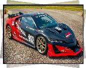 Acura NSX Type S, Active Aero Study