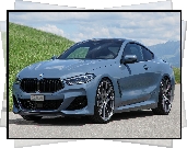 BMW M850i Coupe, DAHLer