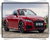 Audi TTS Roadster Final Edition