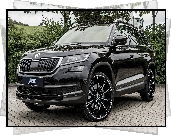 Skoda Kodiaq, ABT