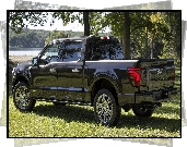 Ford F-150 Platinum