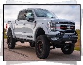 Ford F-150, Venom 775, Hennessey