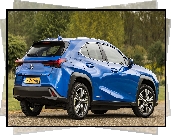 Lexus UX, Electric