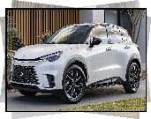 Biały, Lexus LBX
