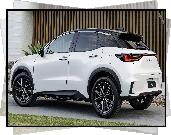 Lexus LBX, Biały