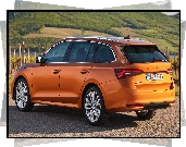 Skoda Octavia, Combi, Tył, Bok