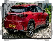 Czerwony, Lexus LBX, Tył