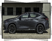 Lexus NX, F, Sport