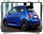 Abarth 500, Blue Wonder, Pogea Racing