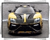 Ford GT, Mansory, Under Armour, Przód