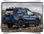 Subaru Outback, Wilderness