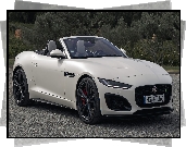 Jaguar F-Type R, Cabrio, Alpine