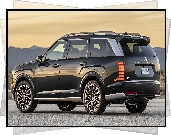 Czarny, Hyundai Palisade